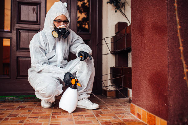 Reliable Bed Bug Control contractor in Fort Mill, SC by Nex Pest Control
